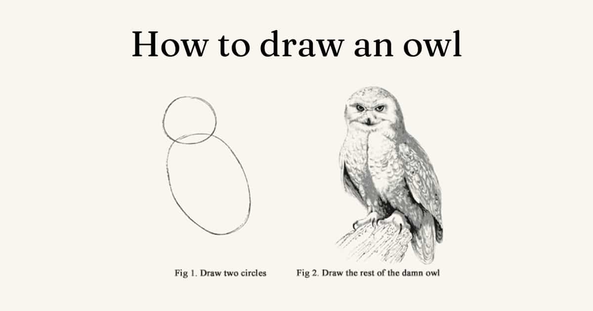 draw an owl